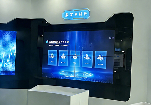 2490199b402136f253b3b355be0cd1e3 拷贝.jpg