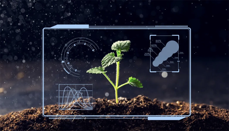 产业信息丨农业数字化的重要性解读数字农业五大特点