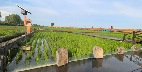 微信图片_2026-07-29_083915_734.png 微信图片_2026-07-29_083915_734.png