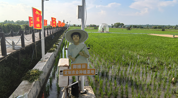 微信图片_2026-07-29_083912_978.png 微信图片_2026-07-29_083912_978.png
